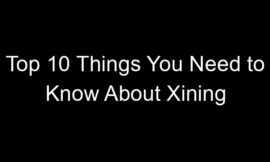 Top 10 Things You Need to Know About Xining