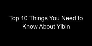 Read more about the article Top 10 Things You Need to Know About Yibin