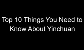 Top 10 Things You Need to Know About Yinchuan