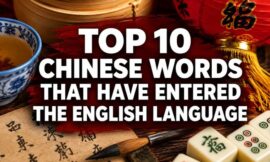 Top 10 Chinese Words That Have Entered the English Language